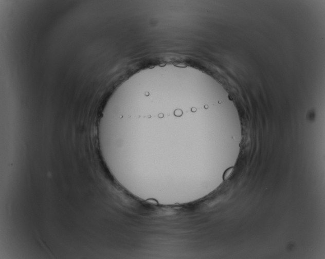 X0000101960523200807180705