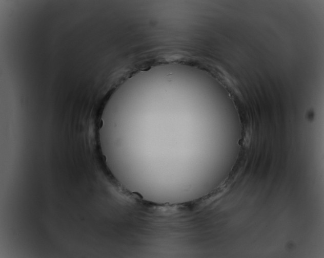 X0000101960524200807180705