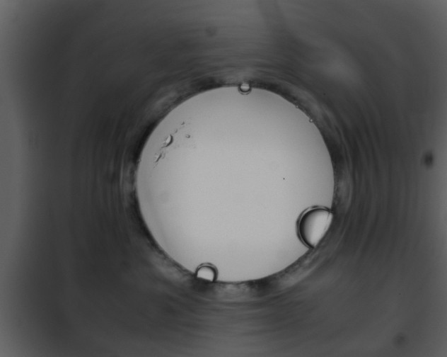 X0000101960525200807180705