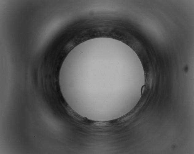 X0000101960526200807180705