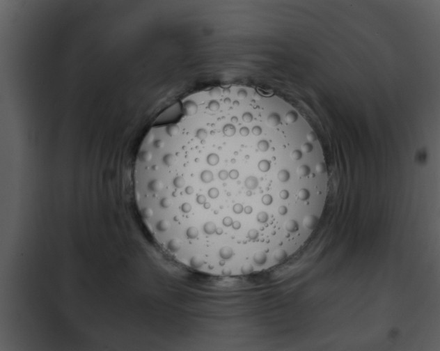 X0000101960527200807180705