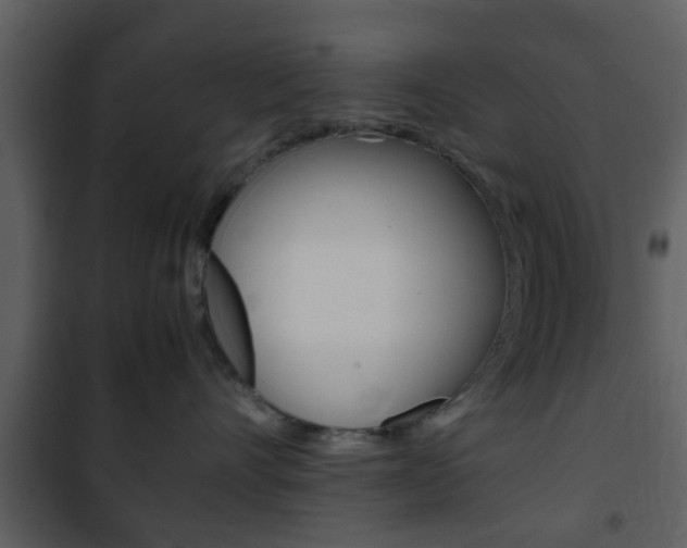 X0000101960528200807180705