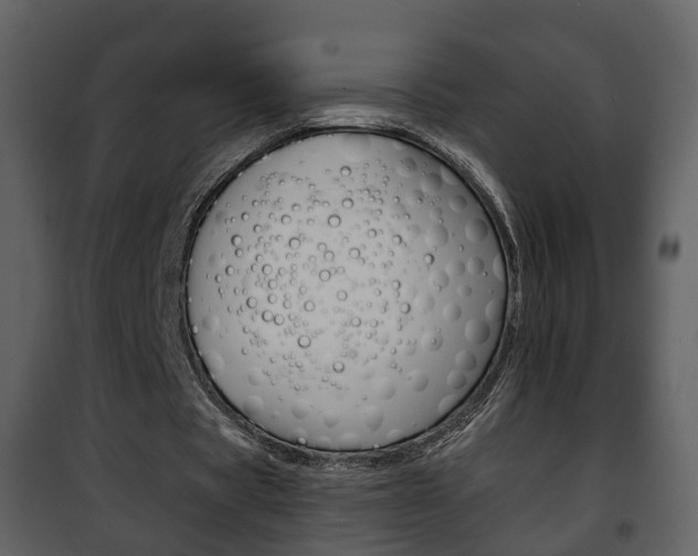 X0000101960529200807180705