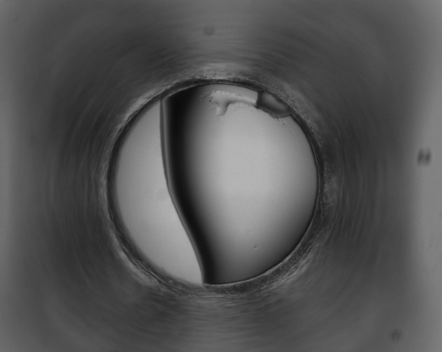 X0000101960530200807180705