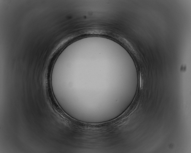 X0000101960531200807180705