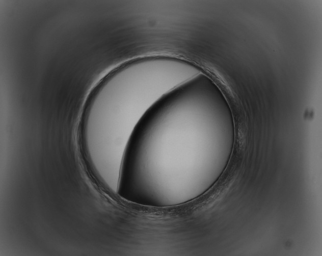 X0000101960532200807180705