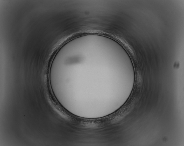 X0000101960533200807180705