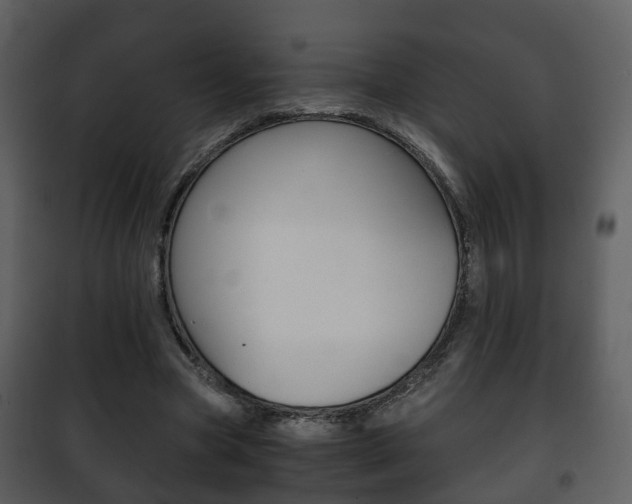 X0000101960537200807180705