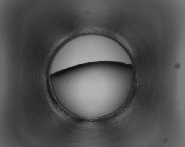 X0000101960538200807180705