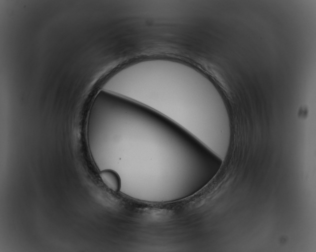 X0000101960539200807180705