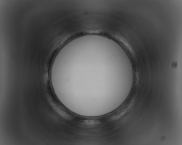 X0000101960541200807180705