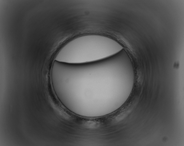 X0000101960542200807180705