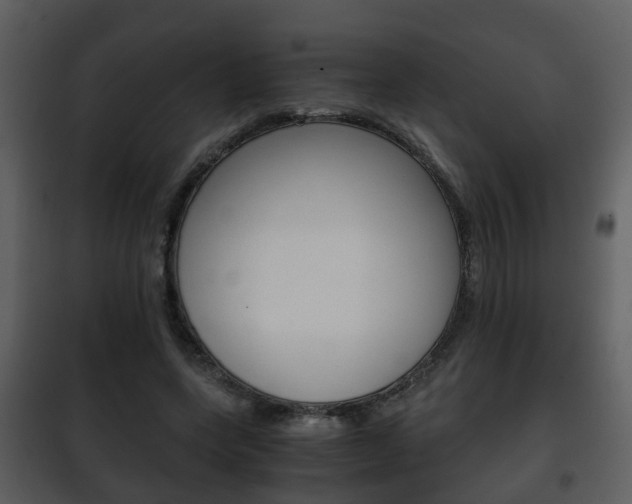 X0000101960543200807180705