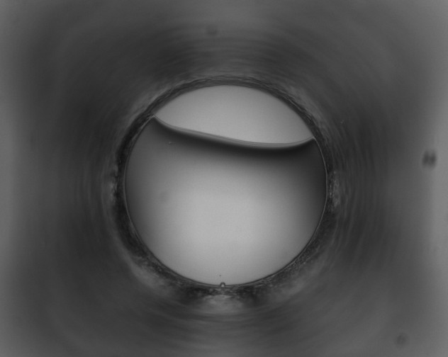 X0000101960544200807180705