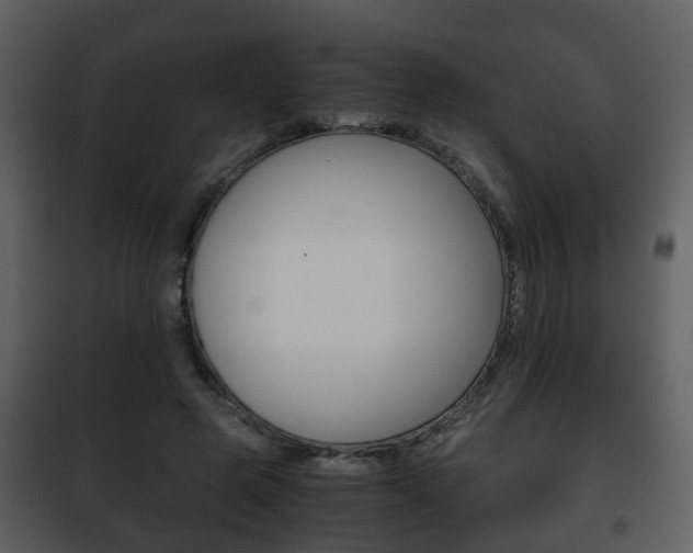 X0000101960545200807180705