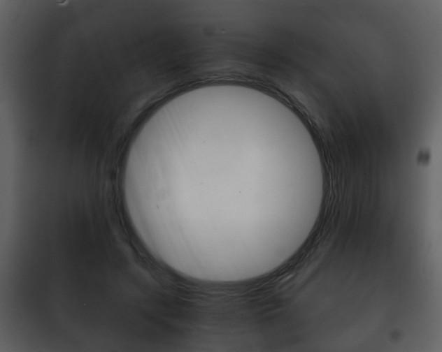 X0000101960547200807180705