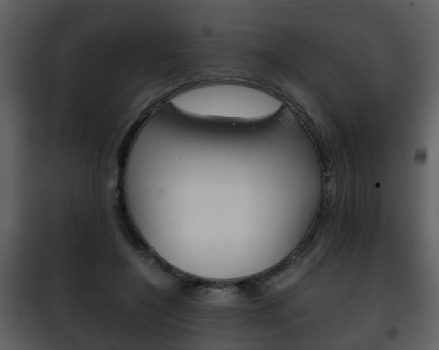 X0000101960548200807180705