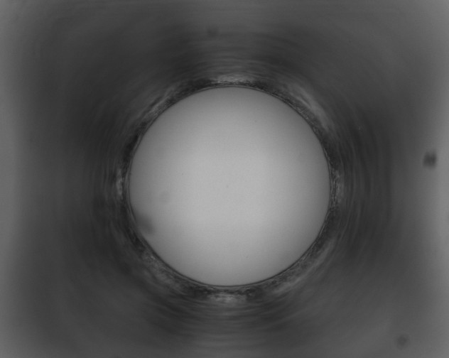 X0000101960549200807180705