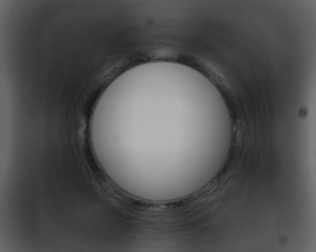 X0000101960550200807180705