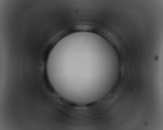X0000101960551200807180705