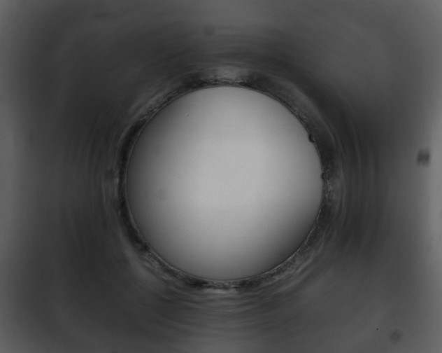 X0000101960552200807180705