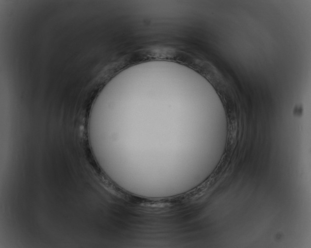 X0000101960553200807180705