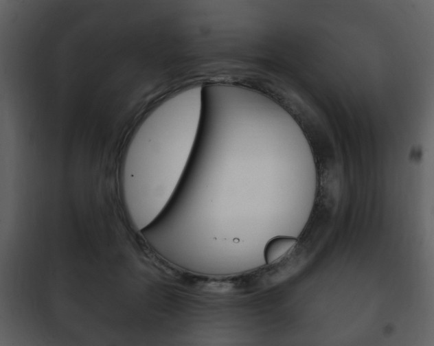 X0000101960554200807180705