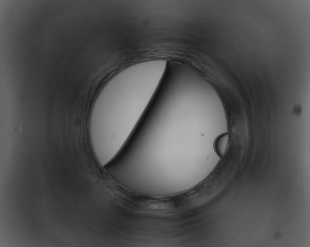 X0000101960555200807180705