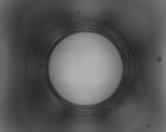 X0000101960556200807180705