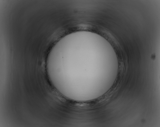 X0000101960557200807180705