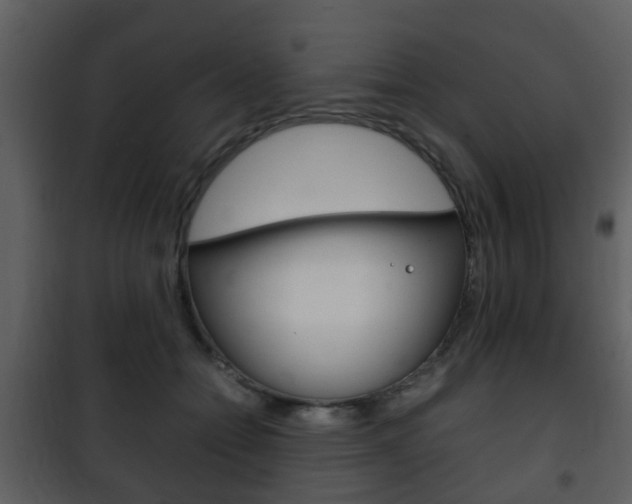 X0000101960558200807180705