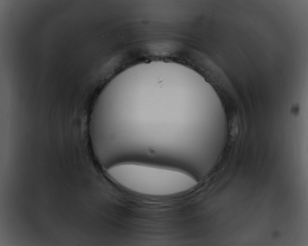 X0000101960559200807180705