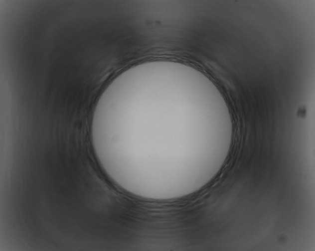 X0000101960560200807180705