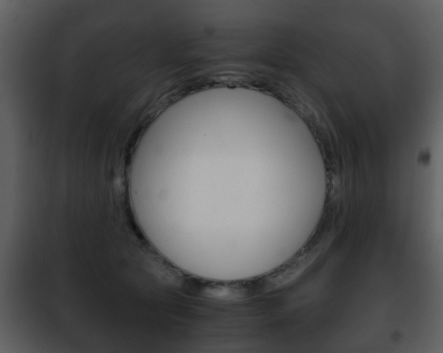 X0000101960561200807180705