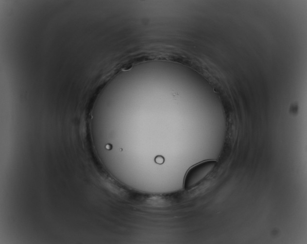 X0000101960562200807180705