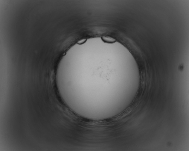 X0000101960563200807180705