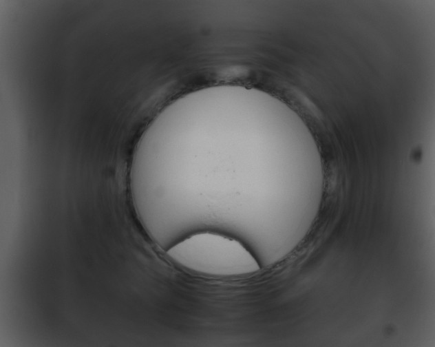 X0000101960565200807180705