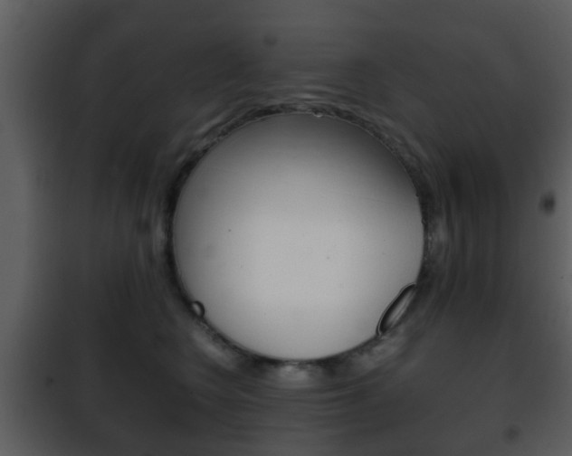 X0000101960566200807180705