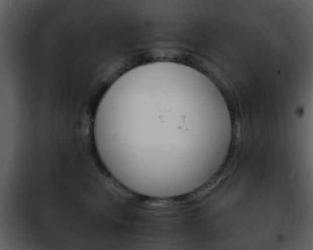 X0000101960567200807180705