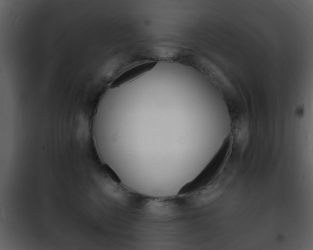 X0000101960568200807180705