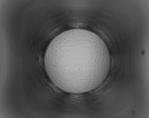 X0000101960569200807180705