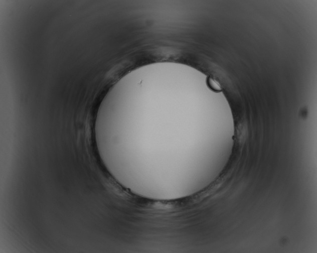 X0000101960570200807180705