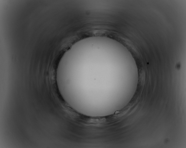 X0000101960571200807180705