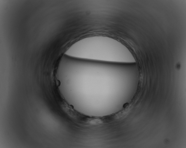 X0000101960572200807180705