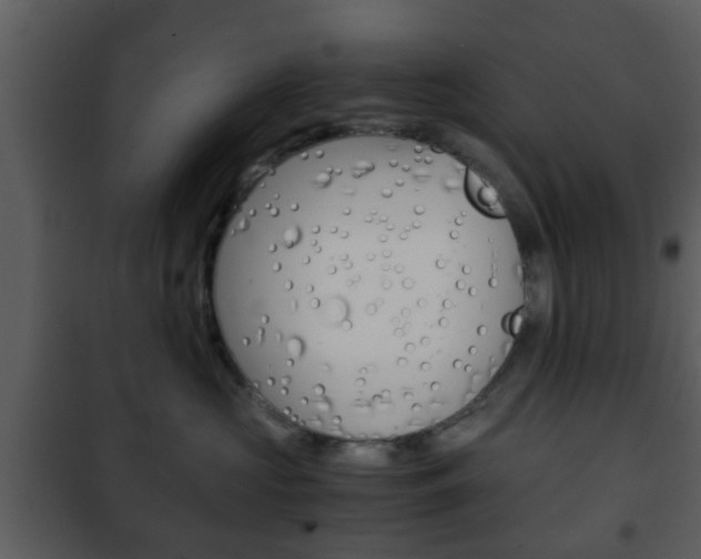 X0000101960573200807180705