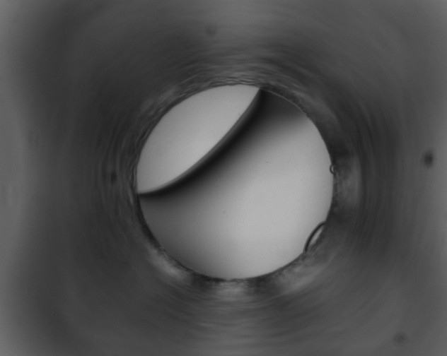X0000101960574200807180705