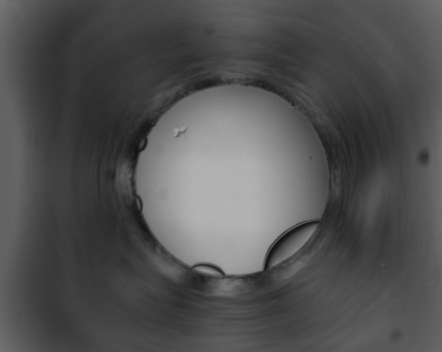 X0000101960575200807180705