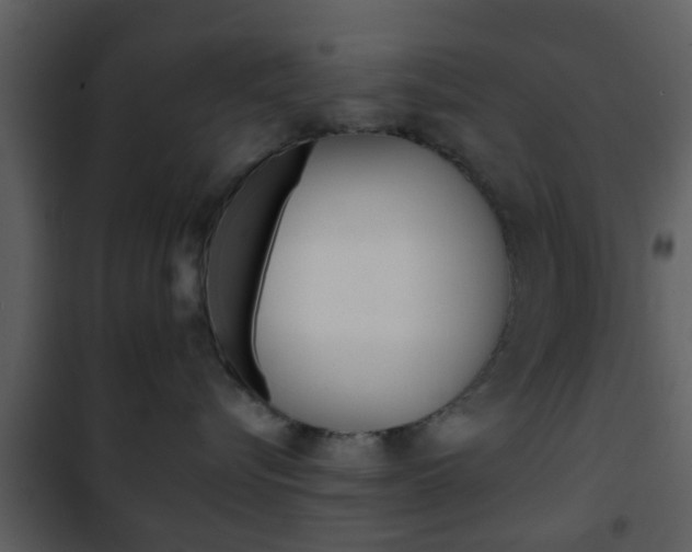 X0000101960576200807180705