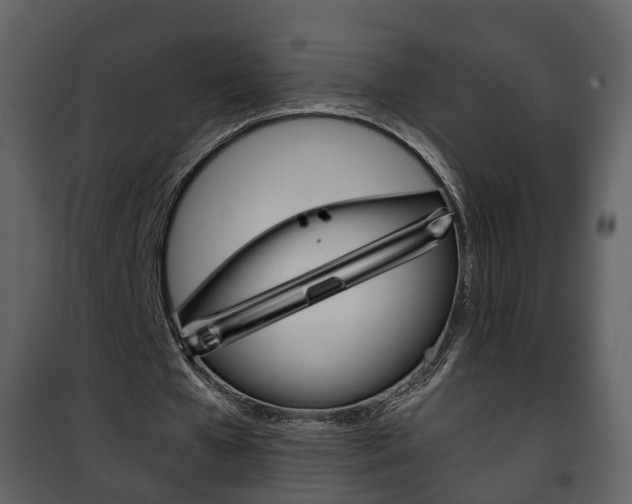 X0000101960577200807180705