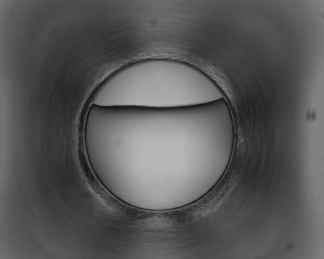 X0000101960578200807180705